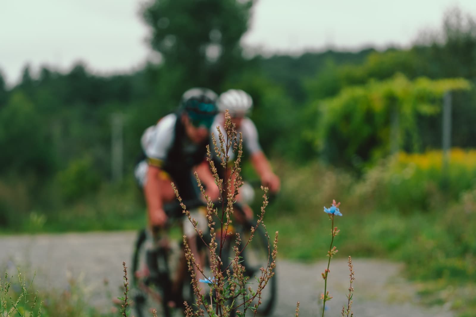 Big Red Gravel Run 2023